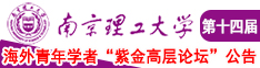 28年免费操逼网南京理工大学第十四届海外青年学者紫金论坛诚邀海内外英才！